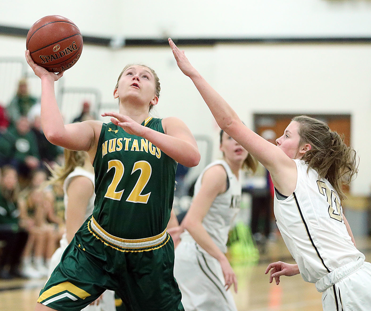Nov. 13: Melrose-Mindoro vs. Onalaska Luther